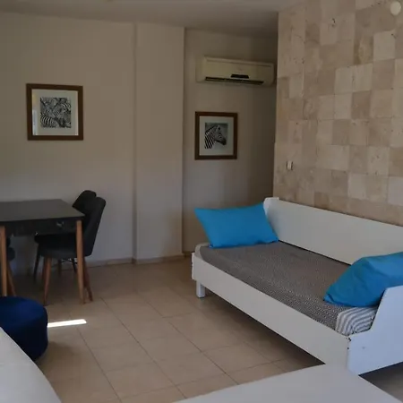 Apartment Safari Suit N-7